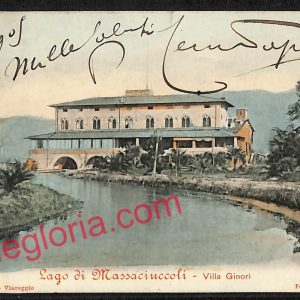 ag6666 - CARTOLINA D'EPOCA - Lucca Provincia - Lago di Massaciuccoli