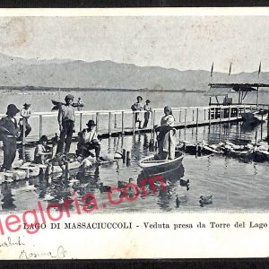 ag6668 - CARTOLINA D'EPOCA - Lucca Provincia - Lago di Massaciuccoli