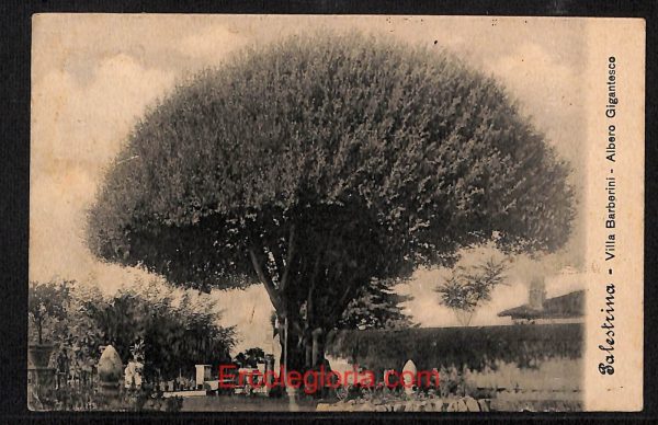 ad8509 - CARTOLINA D'EPOCA - Roma Provincia - Palestrina  1910