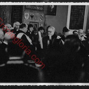 ae2429 - CARTOLINA  D'EPOCA - Bologna Città - Foto Gambini