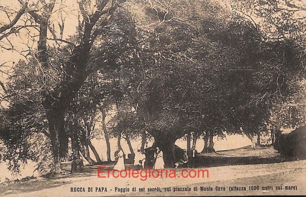 ad8529 - CARTOLINA D'EPOCA - Roma Provincia - Rocca di Papa