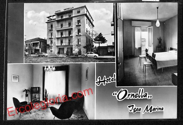 ai0880 - CARTOLINA D'EPOCA - Rimini Provincia - Igea Marina