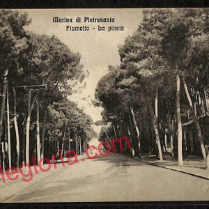 ag6711 - CARTOLINA D'EPOCA - Lucca Provincia - Pietrasanta