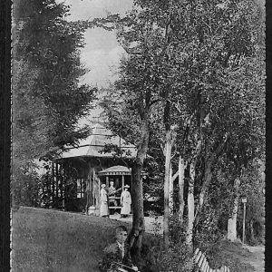 ae1243 - CARTOLINA  D'EPOCA - Belluno Provincia - Pieve di Cadore