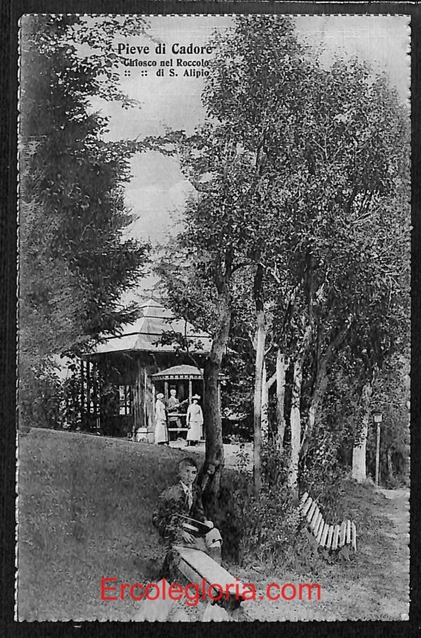 ae1243 - CARTOLINA  D'EPOCA - Belluno Provincia - Pieve di Cadore