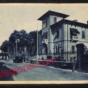 ag6742 - CARTOLINA D'EPOCA - Lucca Provincia - Pietrasanta