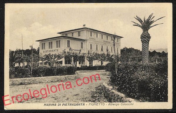 ag6745 - CARTOLINA D'EPOCA - Lucca Provincia - Pietrasanta