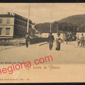 ag6755 - CARTOLINA D'EPOCA - Lucca Provincia - Pescia