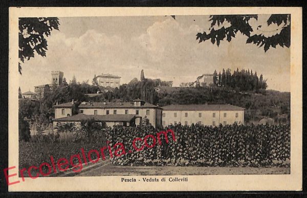 ag6756 - CARTOLINA D'EPOCA - Lucca Provincia - Pescia