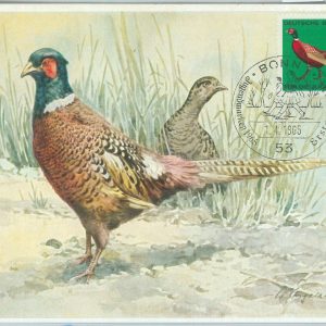 81300 - GERMANY DDR  - Postal History - FDC MAXIMUM CARD -   1965  Birds