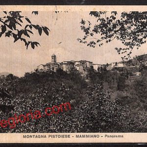 ah8281 - CARTOLINA D'EPOCA - Pistoia Provincia - Mammiano Pistoiese