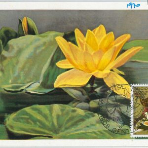 63431 -  BELGIUM - POSTAL HISTORY: MAXIMUM CARD 1970 -  FLOWERS