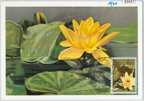 63431 -  BELGIUM - POSTAL HISTORY: MAXIMUM CARD 1970 -  FLOWERS