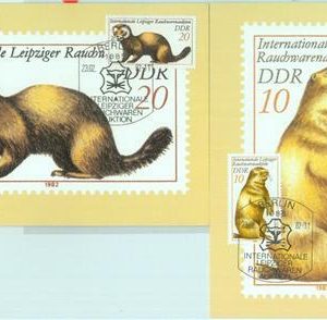 89871 - GERMANY DDR - Postal History - 2 MAXIMUM CARDS -  Animals NATURE 1981