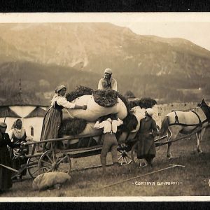 ad0445- CARTOLINA  D'EPOCA - Belluno Provincia -  Cortina d'Ampezzo