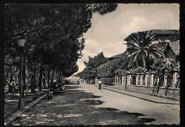 ac7864 - CARTOLINA D'EPOCA - Livorno Provincia - Marina di Cecina