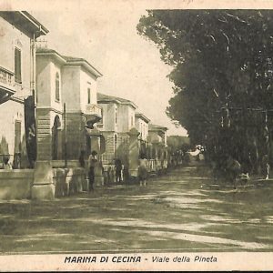 ac7880 - CARTOLINA D'EPOCA - Livorno Provincia - Marina di Cecina   1927