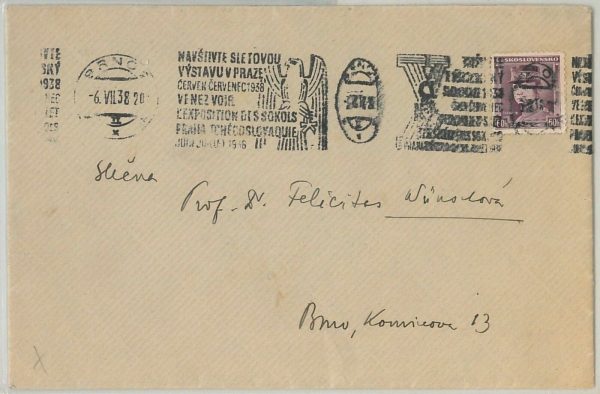 45510 - Czechoslovakia - POSTAL HISTORY - COVER 1938 - BIRDS Eagle  Hawk