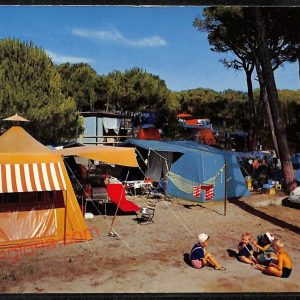 ag2176 - CARTOLINA D'EPOCA - Grosseto Provincia - Follonica  1960