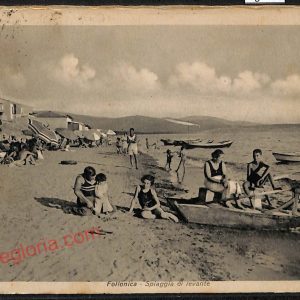 ag2179 - CARTOLINA D'EPOCA - Grosseto Provincia - Follonica