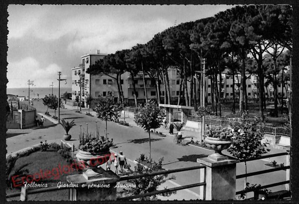 ag2180 - CARTOLINA D'EPOCA - Grosseto Provincia - Follonica  1959