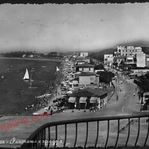 ag2181 - CARTOLINA D'EPOCA - Grosseto Provincia - Follonica  1958