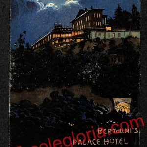 ah3403 - CARTOLINE D'EPOCA - Napoli Citta - Bertolini's Palace Hotel