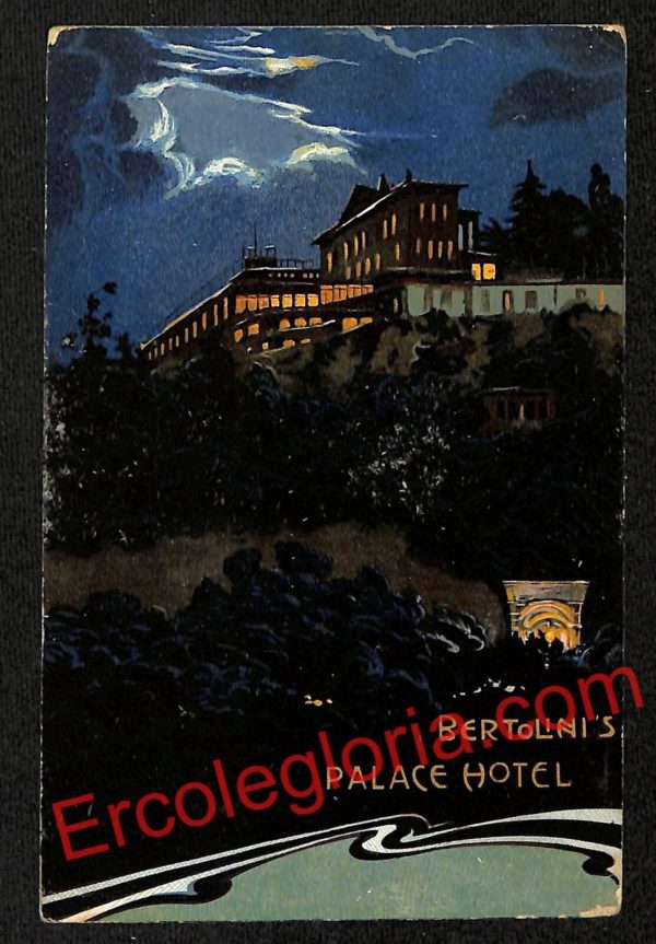 ah3403 - CARTOLINE D'EPOCA - Napoli Citta - Bertolini's Palace Hotel