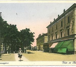 08354  CARTOLINA d'Epoca - PARMA: SALSOMAGGIORE