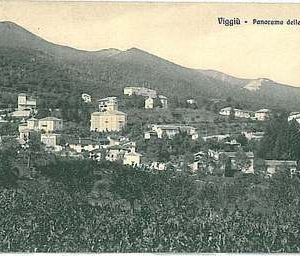 CARTOLINA d'Epoca - VARESE : Viggiù