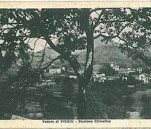 26719  CARTOLINA d'Epoca - VARESE : Viggiù