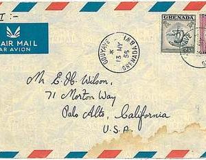 28210 -  GRENADA -  POSTAL HISTORY: AIRMAIL COVER with postmark: GOUYANE 1955