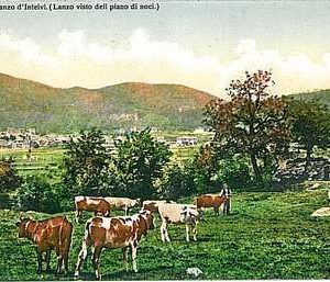 CARTOLINA d'Epoca - COMO : Lanzo d'Intelvi