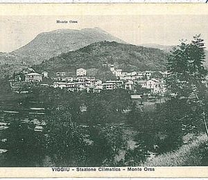 26689  CARTOLINA d'Epoca - VARESE : Viggiù 1931