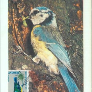 87602 -  ANDORRA - Postal History - MAXIMUM CARD -  BIRDS  1973