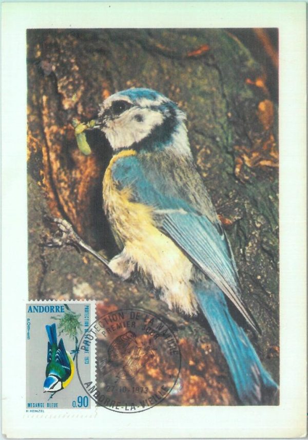 87602 -  ANDORRA - Postal History - MAXIMUM CARD -  BIRDS  1973