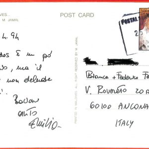 aa3175 - MALDIVES  - Postal History - POSTCARD to ITALY -  BIRDS  1994