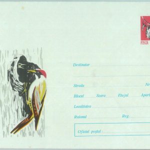 87575 - ROMANIA - POSTAL HISTORY - STATIONERY COVER 1965  - BIRDS Woodpecker