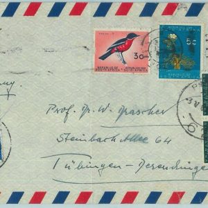 67534 - SOUTH AFRICA  - Postal History - COVER to  GERMANY - 1963  BIRDS Fauna