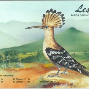 87576 - LESOTHO - POSTAL HISTORY -  STAMP BOOKLET 1981 definitive issue BIRDS