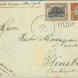 87580 -  GUATEMALA  - Postal History -  COVER to GERMANY  1927  BIRDS Doves