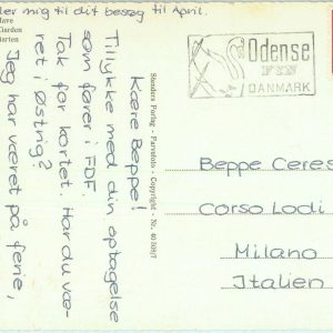 87572 - DENMARK - Postal History -  POSTCARD to ITALY 1965 - BIRDS Swan