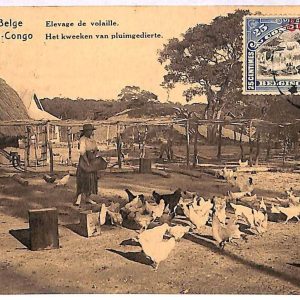 ai3428 - Congo Belge -  POSTAL HISTORY - Stationery Card - FAUNA Chickens