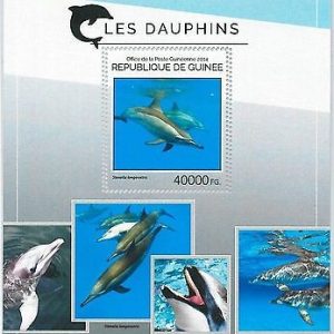 GUINEA - ERROR, 2014 MISSPERF SHEET: DOLPHINS, FISH, MARINE LIFE, ANIMALS