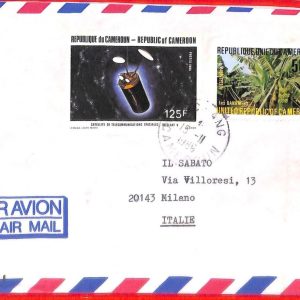 aa3843 - CAMEROUN Cameroon - Postal History - COVER to ITALY 1986 Communications