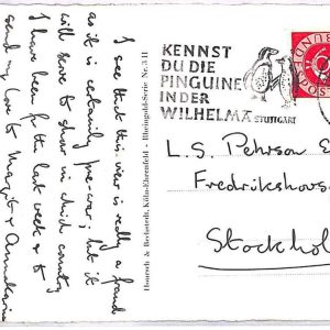 ai3424 - Germany -  POSTAL HISTORY - Postcard - FAUNA  Penguins - 1954