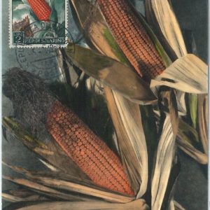 72683  SAN MARINO -  Postal History -   MAXIMUM CARD - AGRICOLTURE Food  1959