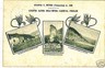 RIF002  CARTOLINA d'Epoca: RIFUGI ALPINI: VALSASSINA - LECCO