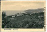 04805      CARTOLINA d'Epoca - LIVORNO: QUERCIANELLA