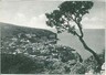 CARTOLINA d'Epoca - NAPOLI : VICO EQUENSE